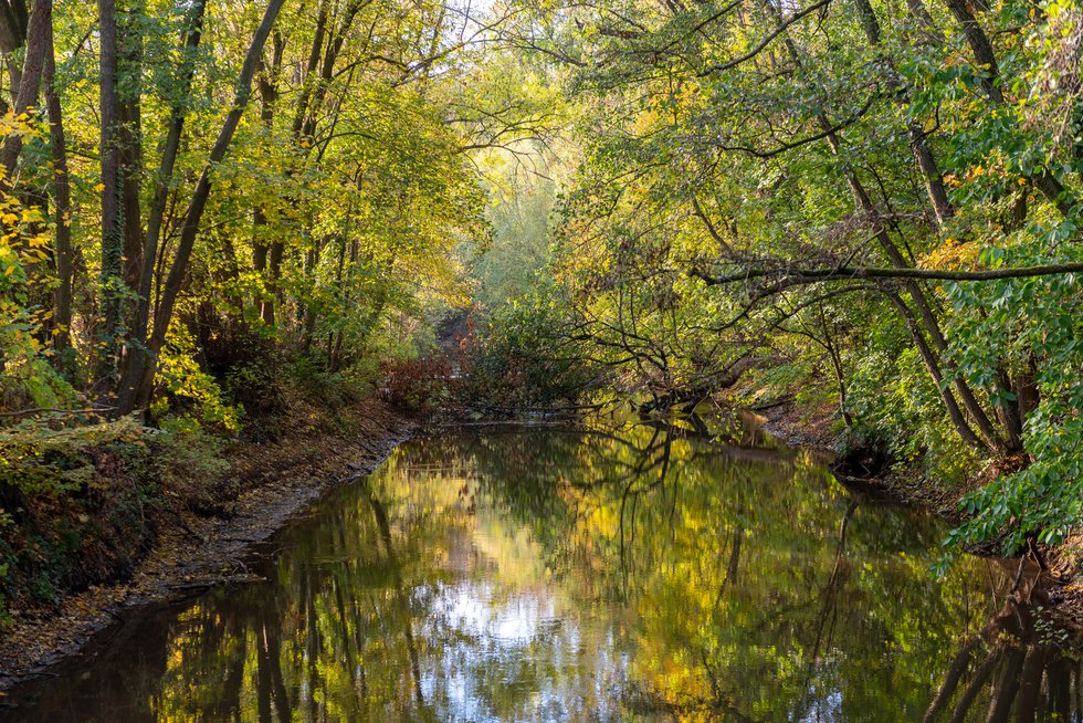 Ein Seitenarm der Nidda bei Frankfurt